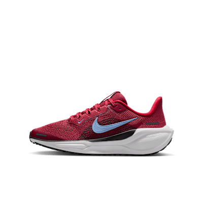 Nike Pegasus 41