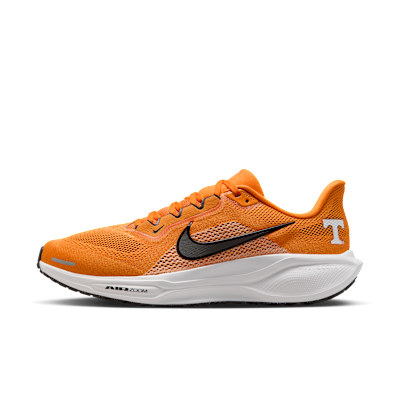 Tennessee Pegasus 41
