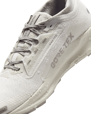 Nike Pegasus Trail 5 GORE-TEX SP