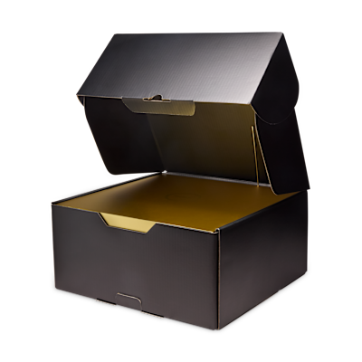 LeBron XXIII 'Bubble Boy' EP Basketball Shoes