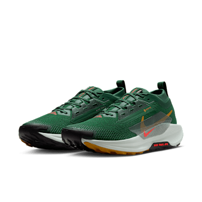 ナイキ ペガサス トレイル 5 GORE-TEX メンズ 防水 トレイル ランニングシューズ
