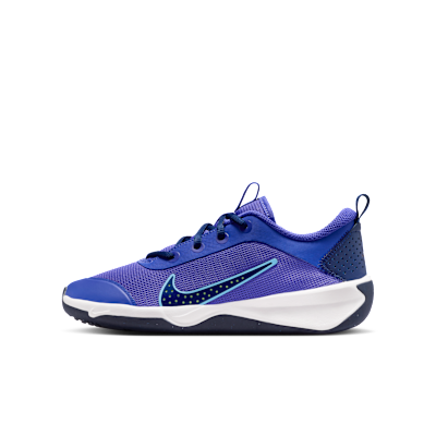 Nike Omni Multi-Court