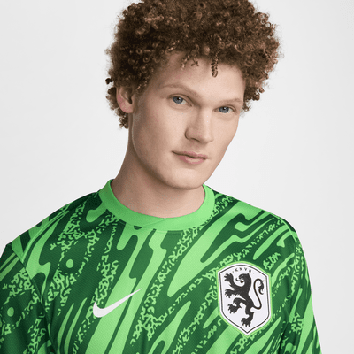 Pánská replika brankářského fotbalového dresu Nike Dri-FIT Nizozemsko (ženský tým) Stadium 2024/25