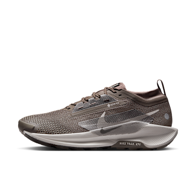 Nike Pegasus Trail 5 GORE-TEX