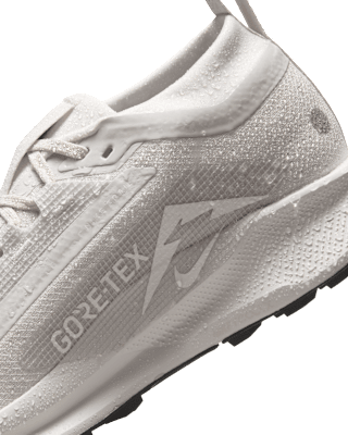 Nike Pegasus Trail 5 GORE-TEX