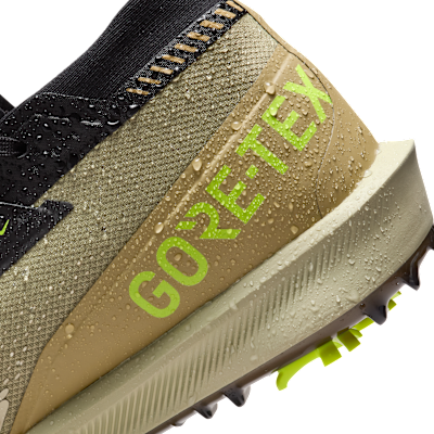 Vandtætte Nike Infinity Tour 2 GORE-TEX-golfsko til mænd