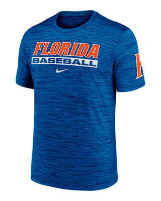 Мужская футболка Florida Gators Velocity Baseball Wordmark Stack Nike Dri-FIT College