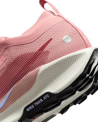 Nike Pegasus Trail 5 GORE-TEX