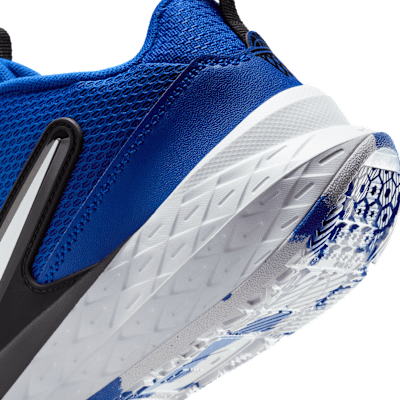 Basketsko Nike Team Hustle D 12 för ungdom