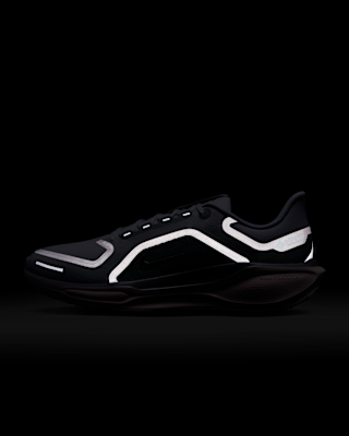 Nike Pegasus 41 GORE-TEX