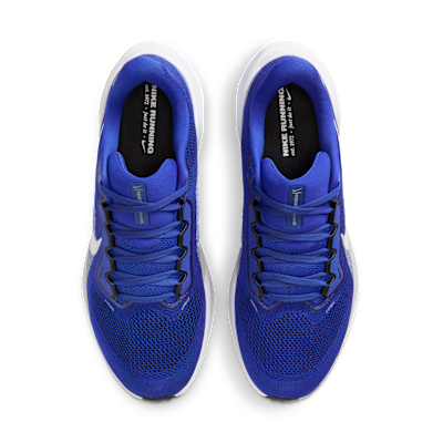Kentucky Pegasus 41 Men's Nike College Road Running Shoes