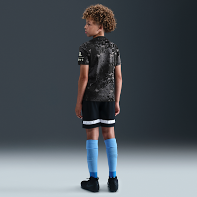 Camisola de futebol de manga curta do equipamento de aquecimento Nike Dri-FIT do equipamento alternativo Academy Pro Tottenham Hotspur Júnior