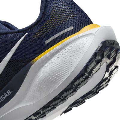 Tenis de correr en pavimento universitarios Nike para hombre Michigan Pegasus 41