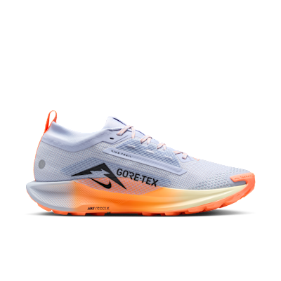 Chaussure de trail imperméable Nike Pegasus Trail 5 GORE-TEX pour homme