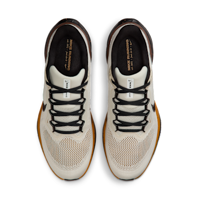 Nike Pegasus 41 Men's Road Running Shoes