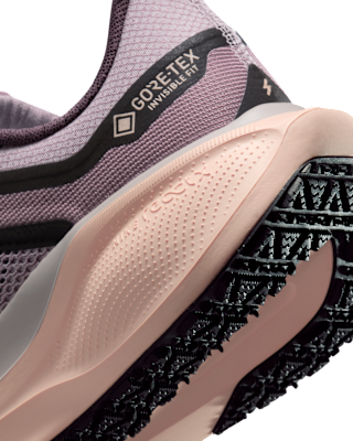 Nike Pegasus 41 GORE-TEX