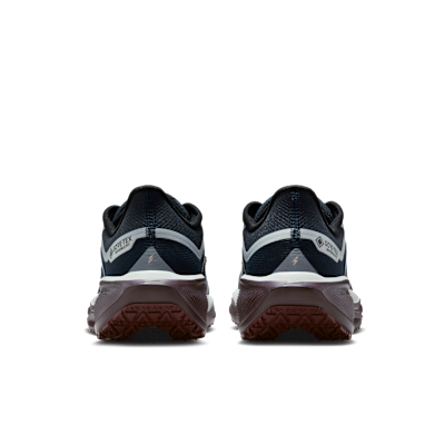 Nike Pegasus 41 GORE-TEX Zapatillas de running para asfalto impermeables - Mujer