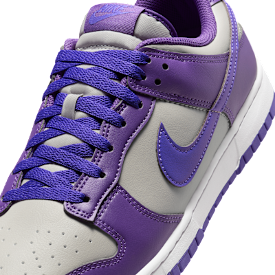 Nike Dunk Low Retro Men's Shoes