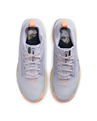 Nike Pegasus Trail 5 GORE-TEX