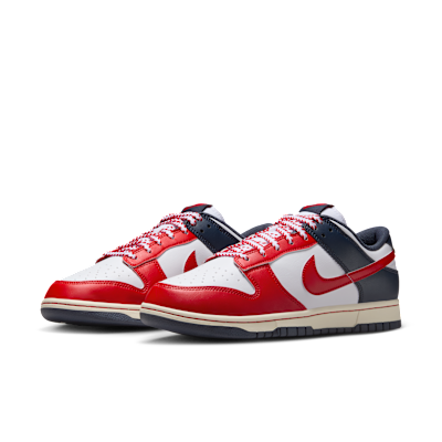 Nike Dunk Low Retro Men's Shoes