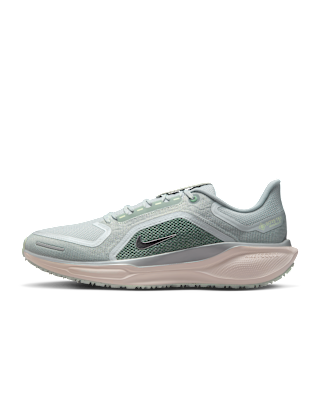 Мужские кроссовки Nike Pegasus 41 GORE-TEX Waterproof Road для бега
