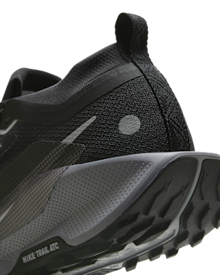 Nike Pegasus Trail 5 GORE-TEX