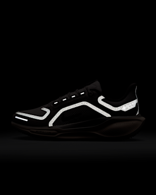 Nike Pegasus 41 GORE-TEX