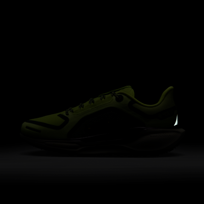 Nike Pegasus 41 GORE-TEX Su Geçirmez Kadın Yol Koşu Ayakkabısı
