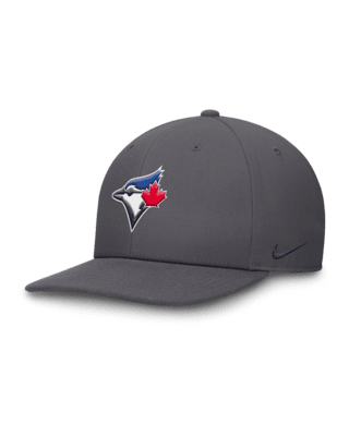 Мужские  Toronto Blue Jays Pro Nike Dri-FIT MLB Adjustable Hat