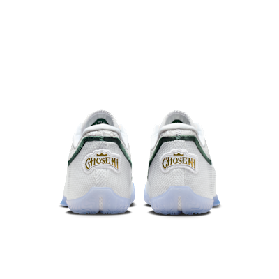 LeBron XXIII 'From This Point Forward' Basketball Shoes