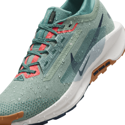 Nike Pegasus Trail 5 GORE-TEX waterdichte trailrunningschoenen voor heren