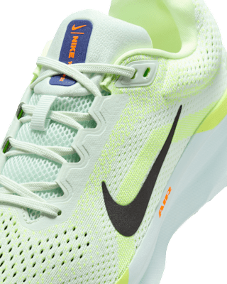 Nike Winflo 11