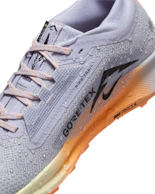 Nike Pegasus Trail 5 GORE-TEX