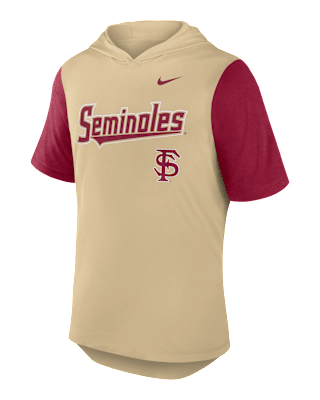 Мужская футболка Florida State Seminoles Baseball Script Nike Dri-FIT College Hooded