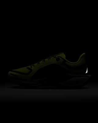 Nike Pegasus 41 GORE-TEX