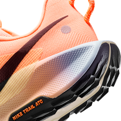 Scarpa da trail running Nike Pegasus Trail 5 – Uomo