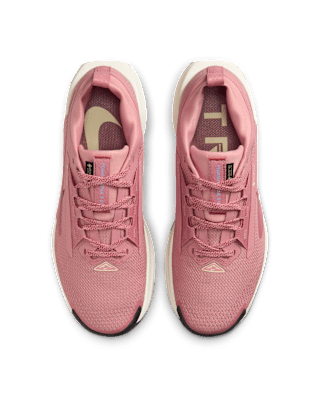 Nike Pegasus Trail 5 GORE-TEX