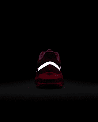 Nike Pegasus Premium