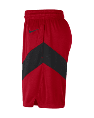 Nike RaptOrs Icon Edition 2020 NBA Swingman Shorts - Red/White