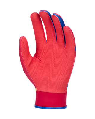 Детские  Nike Alpha 2.0 Kids' T-Ball Batting Gloves