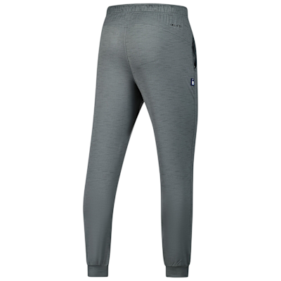 Tampa Bay Rays Travel Men’s Nike Dri-FIT MLB Pants