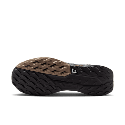 Nike Pegasus Trail 5 Men's Trail-Running Shoes