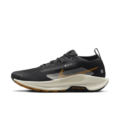 Nike Pegasus Trail 5 GORE-TEX