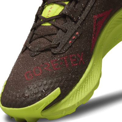 Nike Pegasus Trail 3 GORE-TEX Men's 