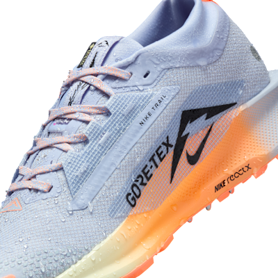 Chaussure de trail imperméable Nike Pegasus Trail 5 GORE-TEX pour homme