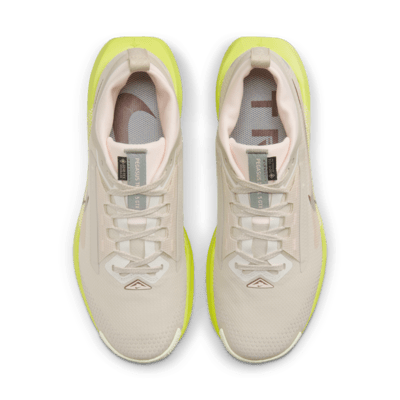 Chaussure de trail imperméable Nike Pegasus Trail 5 GORE-TEX pour femme