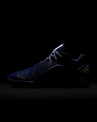 LeBron XXII "Token" EP