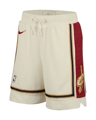 Мужские шорты LeBron Nike Nike Dri-FIT NBA Shorts