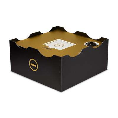 LeBron XXIII 'Point Forward' EP Basketball Shoes