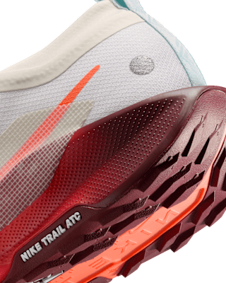 Nike Pegasus Trail 5 GORE-TEX